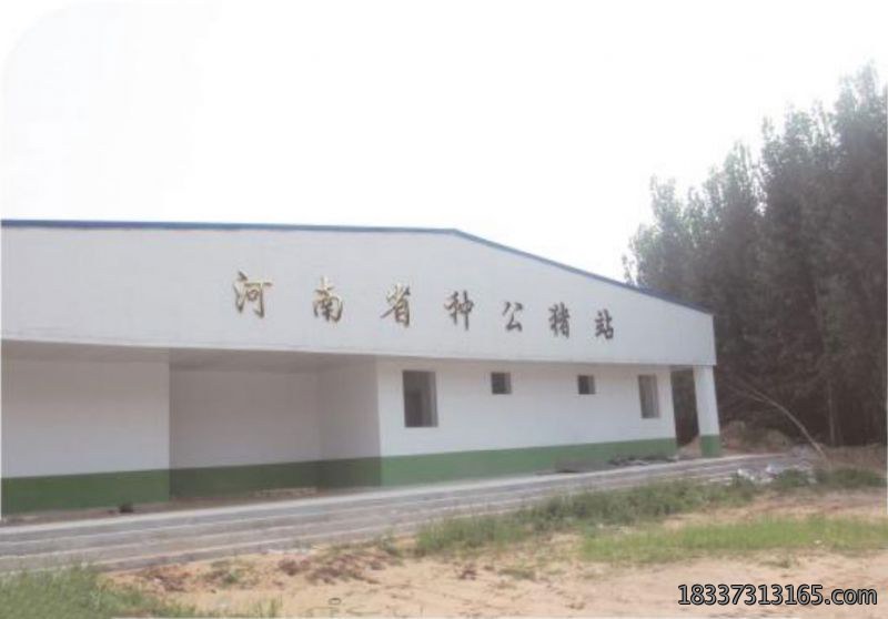 河南省种猪测定中心